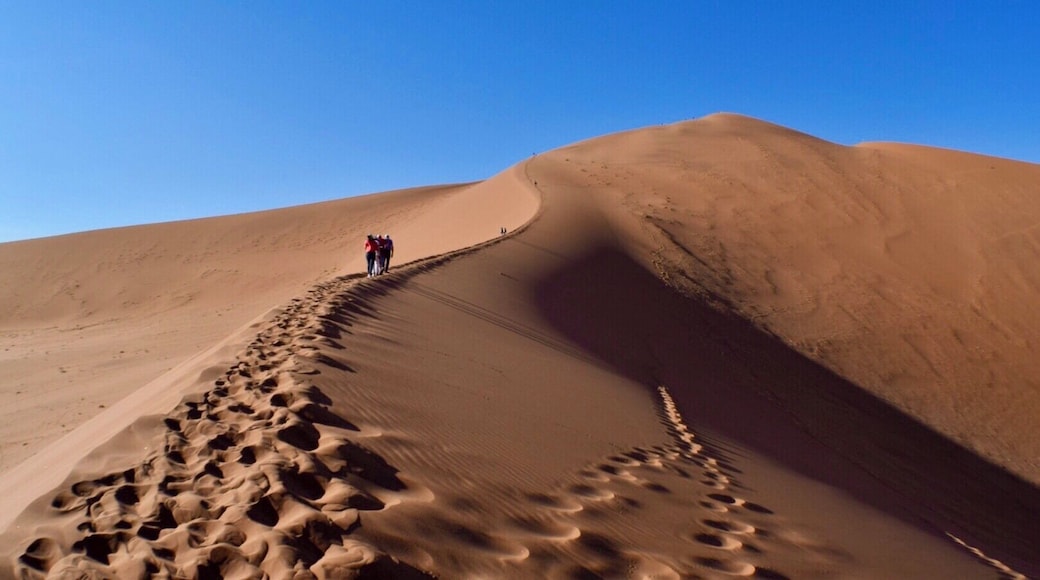 Hiking Big Daddy Dune