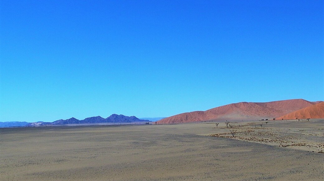 Late afternoon in Sossussvlei, Namibia