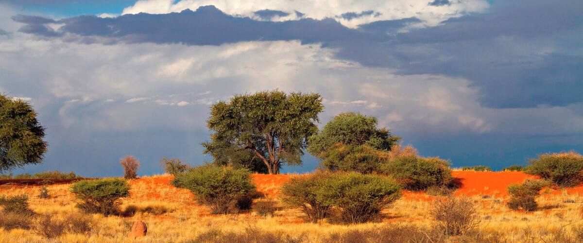 Namibia is one of the few countries in Africa where it is safe and easy to rent a car and drive by yourself. We had our epic #roadtrip in 2012/13 and loved it. We are going back for sure! We had heavy rain in the desert! Read more on: http://www.travelwithallsenses.com/namibia-desert-country-surprises/