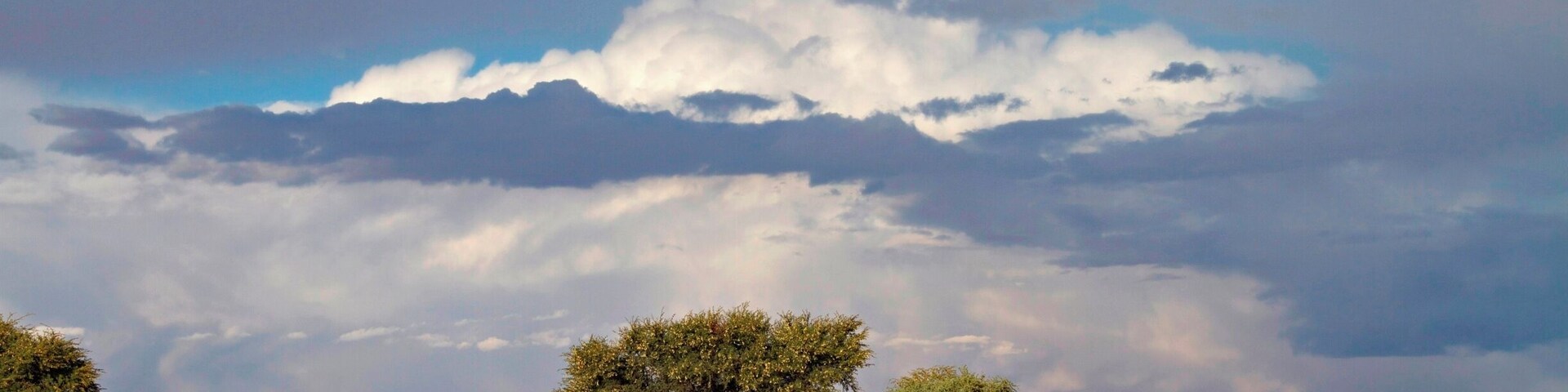 Namibia is one of the few countries in Africa where it is safe and easy to rent a car and drive by yourself. We had our epic #roadtrip in 2012/13 and loved it. We are going back for sure! We had heavy rain in the desert! Read more on: http://www.travelwithallsenses.com/namibia-desert-country-surprises/