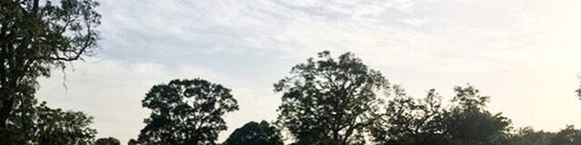 Cap Skirring Senegal