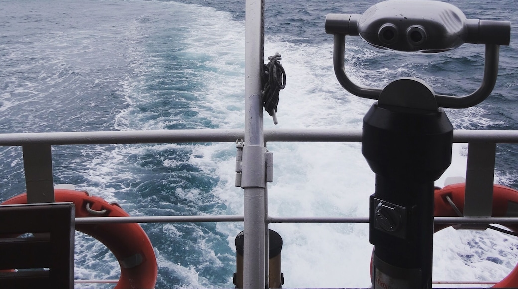 Istanbul. Turkish Delight. I lost my travel virginity here. It was finally happening and i knew what i want. I wanted to see everything 🇹🇷