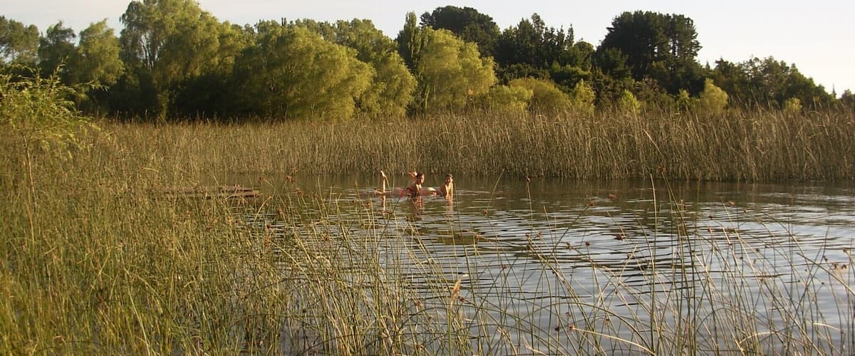 A calm river surrounded by tall reeds and trees.