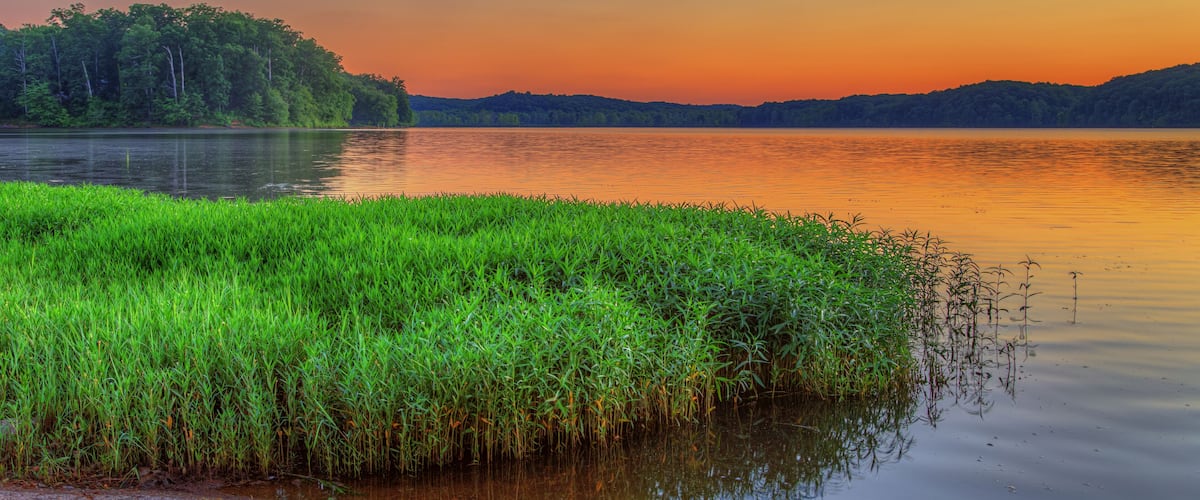 A calm lake at sunset with a grassy shoreline and a forested hill in the background.