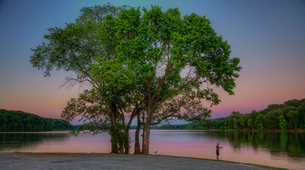 Fishing at Sunset Crooked Creek Bay Lake Barkley Kentucky A young fisher tries his luck in the late evening hours after sunset during the blue hour of the day.