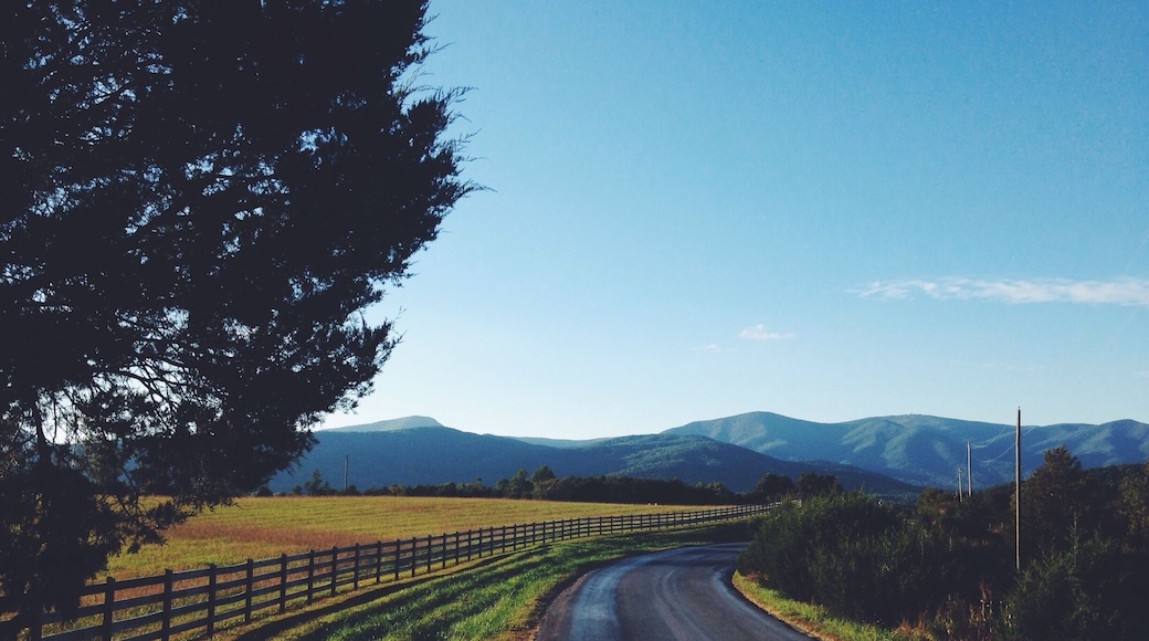 Love this area of VA.