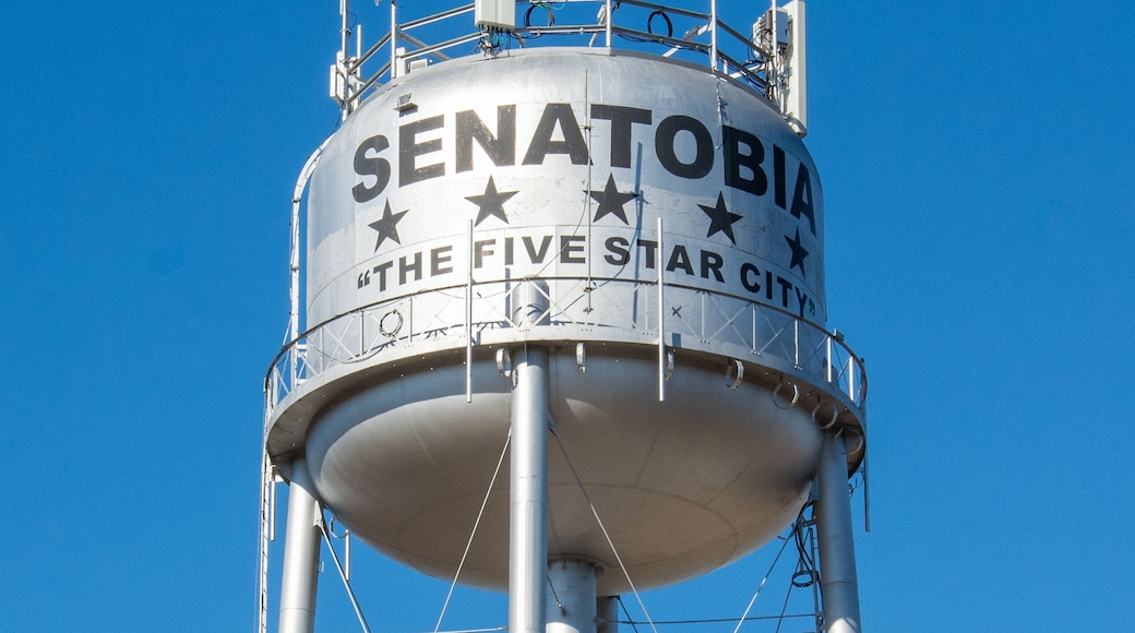 Water Tower in Five Star City - Senatobia in Tate County, Mississippi, United States