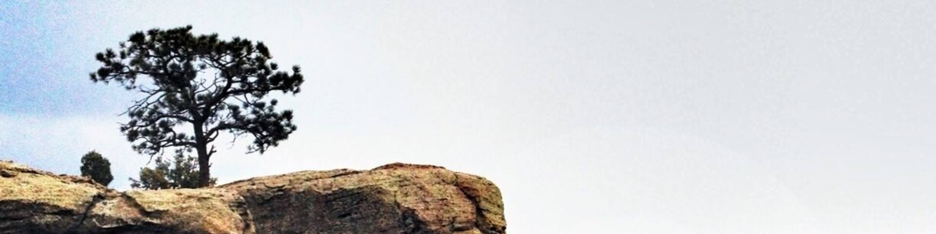 A rocky cliff with a lone tree, a valley with fields, and a distant town.