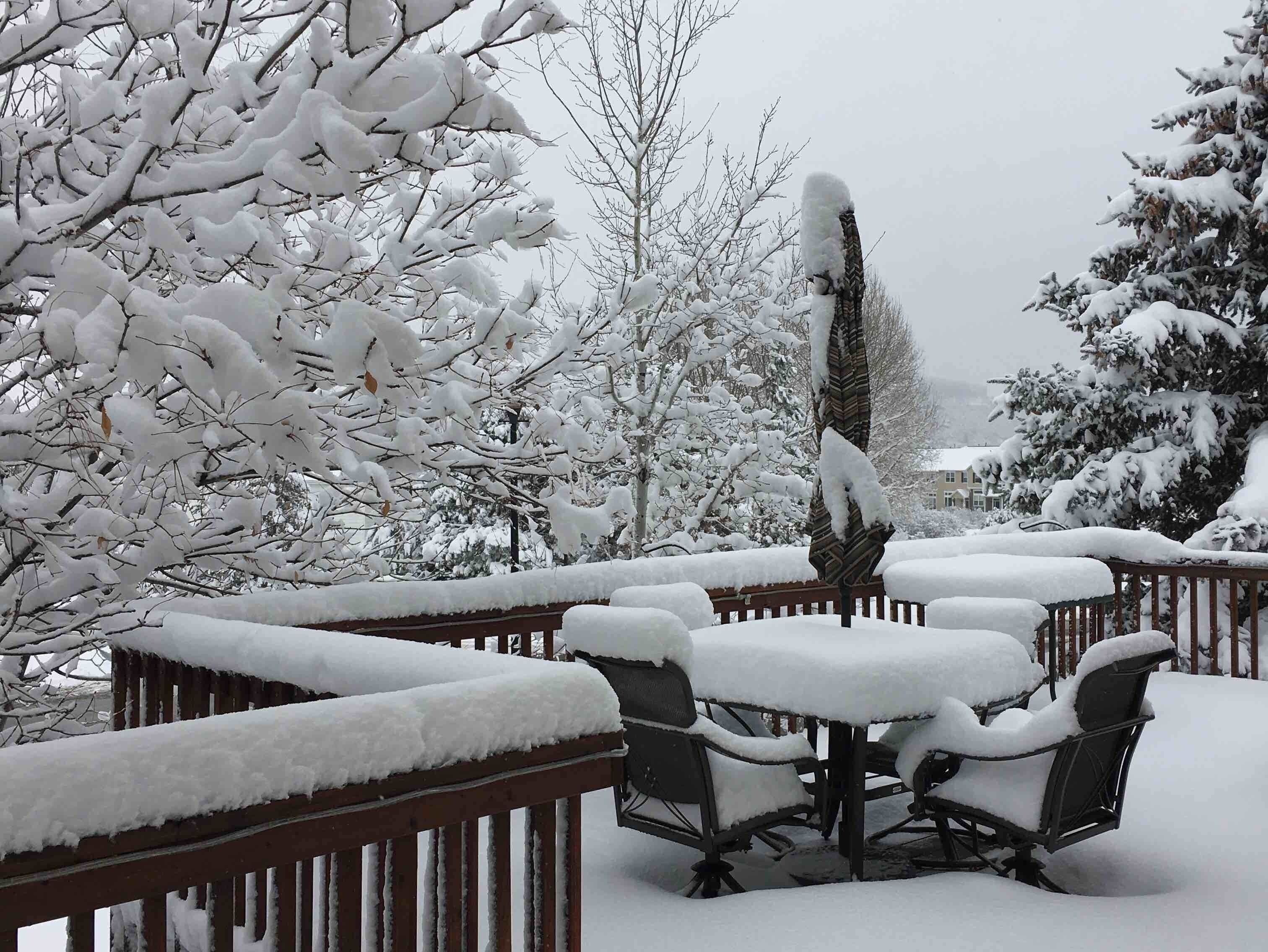 January 12, 2019 Our balcony after Snow Day❣️Our patio umbrella appears rather forlorn...