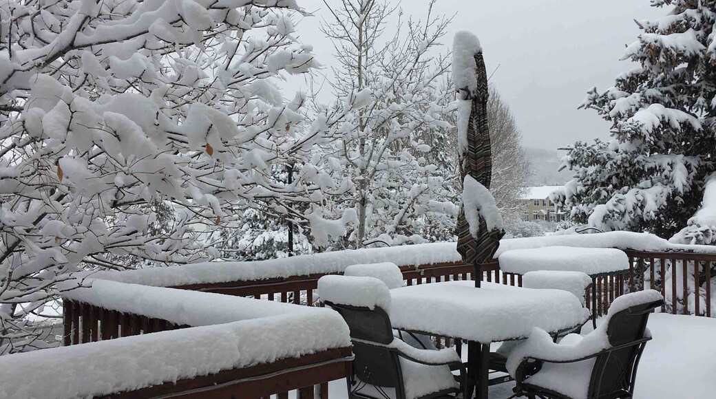 January 12, 2019 Our balcony after Snow DayâŁïžOur patio umbrella appears rather forlorn...