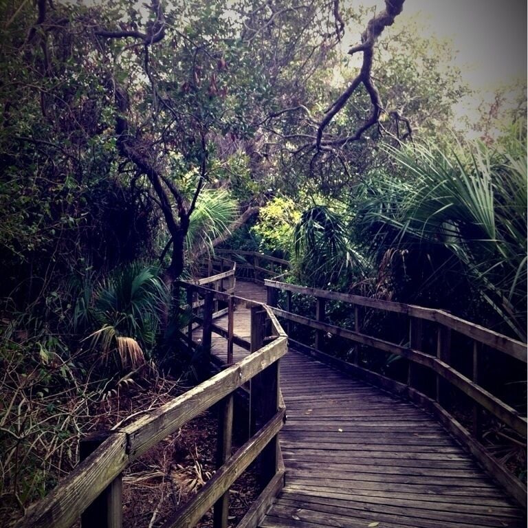 A nice walk through a wooded costal area. Bring sunscreen and bug spray during the summer months.