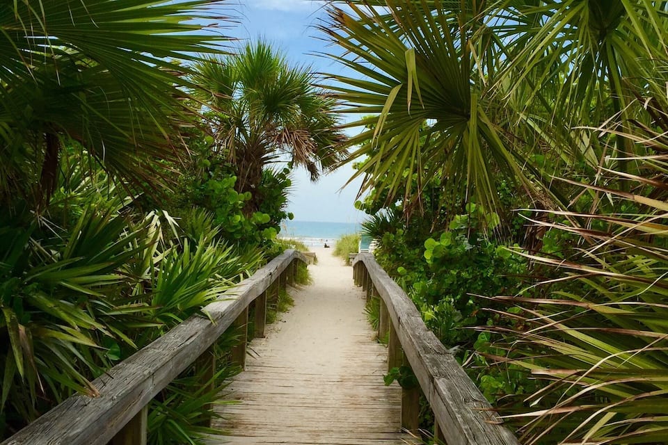 A wooden boardwalk leading to a beach, surrounded by lush greenery and palm trees.