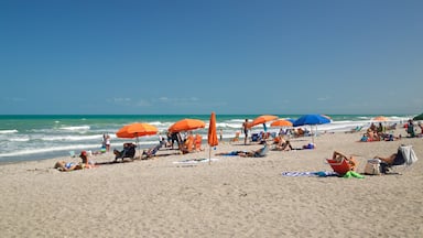 Cocoa Beach showing a beach and general coastal views as well as a small group of people