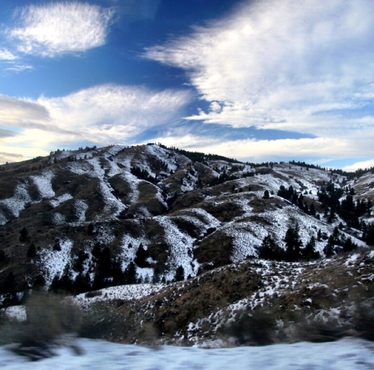 Bogus basin rec area is a wonderful place to ski. Although this year less snow has kept it from opening at normal times, but still makes for pretty foot hills driving up to the rec area. 