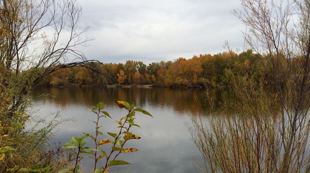 There are several places along the Boise River Greenbelt that have little ponds and or lakes. This lake is right next to veterans memorial park. To the east of this will be a new park opening soon call Esther Simplot park and just east of this park is Quinn's pond, which is a popular summer spot for swimming, SUP, canoeing. #EndlessSummer