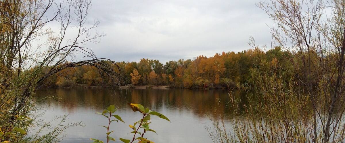 There are several places along the Boise River Greenbelt that have little ponds and or lakes. This lake is right next to veterans memorial park. To the east of this will be a new park opening soon call Esther Simplot park and just east of this park is Quinn's pond, which is a popular summer spot for swimming, SUP, canoeing. #EndlessSummer