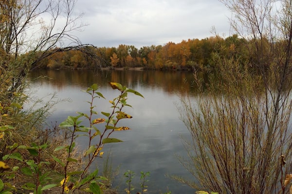 There are several places along the Boise River Greenbelt that have little ponds and or lakes. This lake is right next to veterans memorial park. To the east of this will be a new park opening soon call Esther Simplot park and just east of this park is Quinn's pond, which is a popular summer spot for swimming, SUP, canoeing. #EndlessSummer