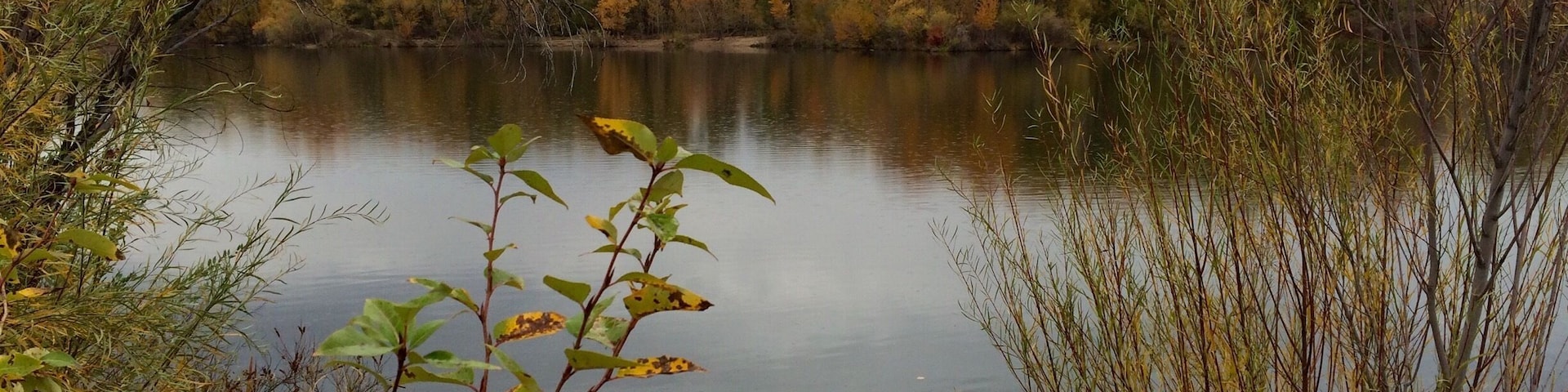 There are several places along the Boise River Greenbelt that have little ponds and or lakes. This lake is right next to veterans memorial park. To the east of this will be a new park opening soon call Esther Simplot park and just east of this park is Quinn's pond, which is a popular summer spot for swimming,  SUP, canoeing. #EndlessSummer