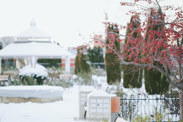 Boise, the capital of Idaho, the state famous for its potatoes. 😂
I have lived here for almost two years, this park has been my favorite place, for all seasons.
It is a White Christmas here. It is amazingly pretty, even though it is really freezing outside, roads are a little rough to drive and I've caught cold and have scratchy throat. 😊
Merry Christmas everyone.
#WinterWonders #merrychristmas