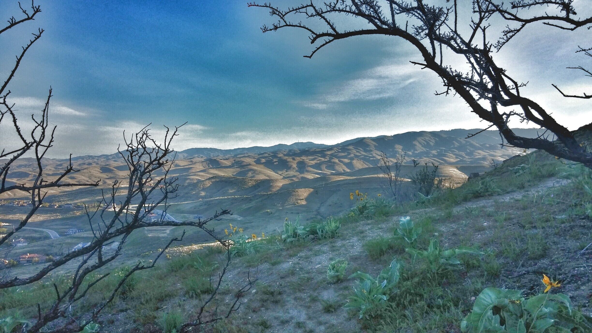 View of the Boise foothills from the Table Rock trail.

The trail is in an ideal location adjacent to downtown Boise. The area has lots of trailheads alongside a fun and vibrant urban scene. Boise truly  has the best of both worlds.