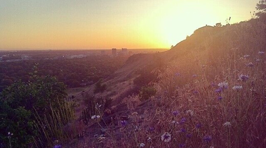 The view from last night 🌻💕 #thisisboise #visitboise #7spring #tablerock #castlerock #thefray #idahome #sunset #wildflowers