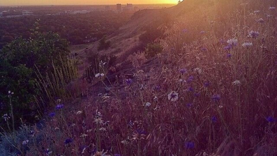 The view from last night 🌻💕 #thisisboise #visitboise #7spring #tablerock #castlerock #thefray #idahome #sunset #wildflowers