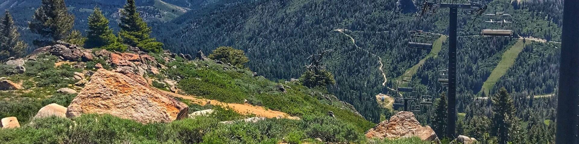 Bogus Basin Ski lift minus the snow but some pretty awesome 360 views which incorporate the Sawtooth Mt. Range.
My playground. So blessed!
#takeahike