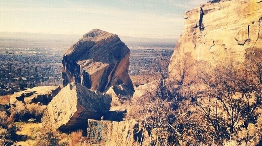 Back side of Table Rock > front side of Table Rock @msnider4 is my new trail guide ☀️👟
#quarrytrail #ridgetorivers #tablerock #isitsummeryet #sunshine #thisisboise #idahome #7winter #hiking