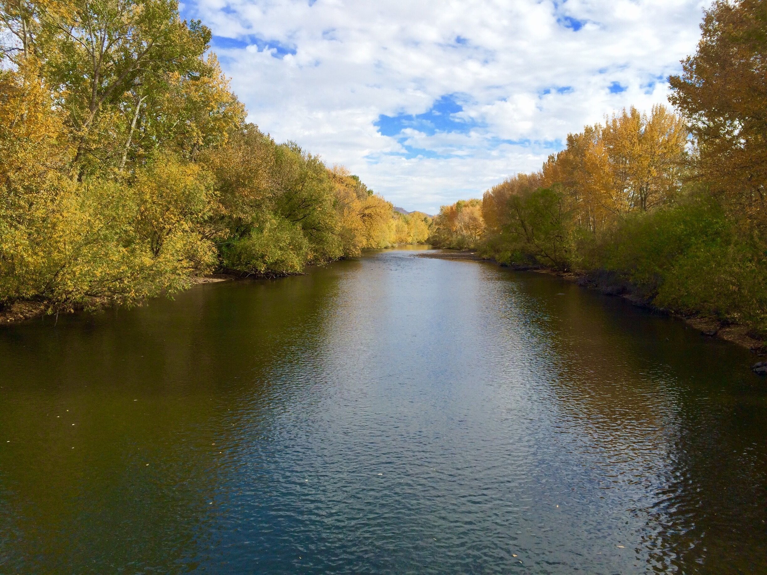 The Boise River at Ann Morrison Park.  Just to the right i( not in photo) is the location where rafters and tubers get out of the river. They start at Barber Park.

#EndlessSummer