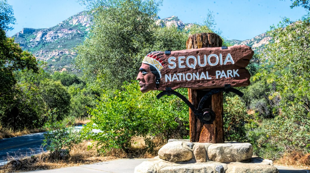 Road to Sequoia National Park, California, USA. American summer vacation