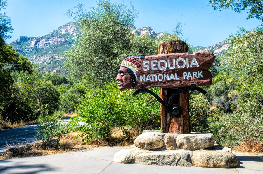 Road to Sequoia National Park, California, USA. American summer vacation