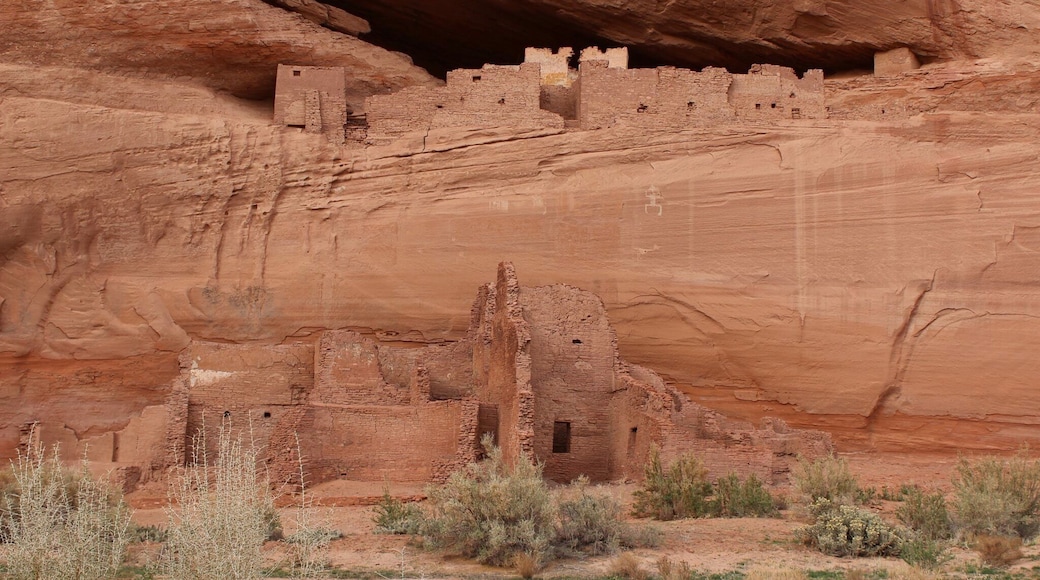 Canyon de Chelly National Monument
Navajo Nation
#NationalPark
#hiking