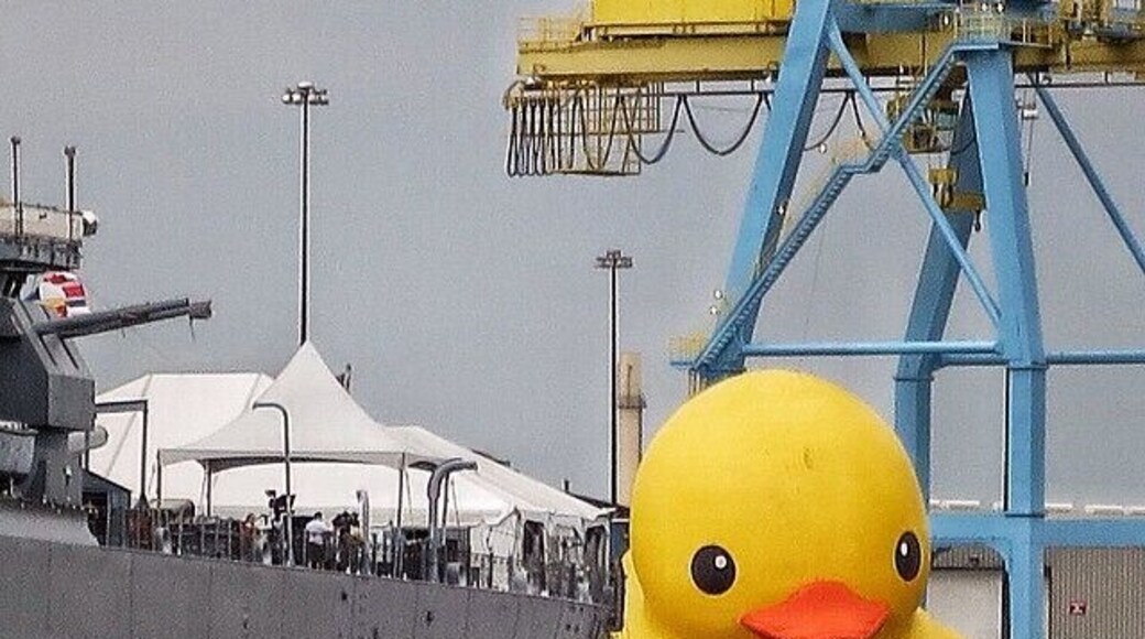 This giant rubber duck was supposed to be the star of the Tall Ships Festivall but, alas, didn't cooperate.