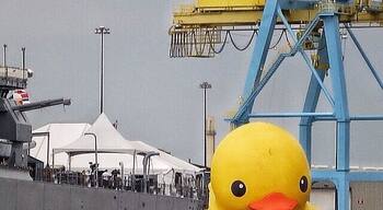 This giant rubber duck was supposed to be the star of the Tall Ships Festivall but, alas, didn't cooperate.