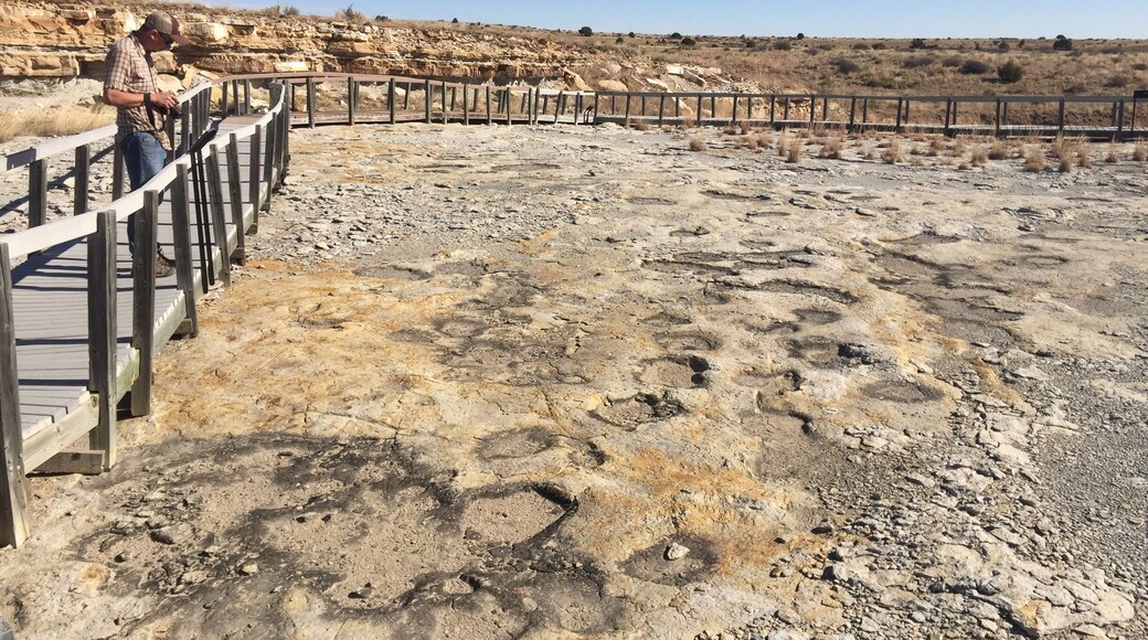 An amazingly clear set of various dinosaur tracks are visible at Clayton State Park due to the construction of the dam that created this recreational place. The boardwalk around the are helps preserve this snapshot in time