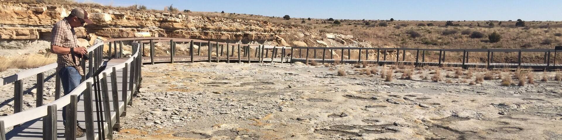 An amazingly clear set of various dinosaur tracks are visible at Clayton State Park due to the construction of the dam that created this recreational place. The boardwalk around the are helps preserve this snapshot in time