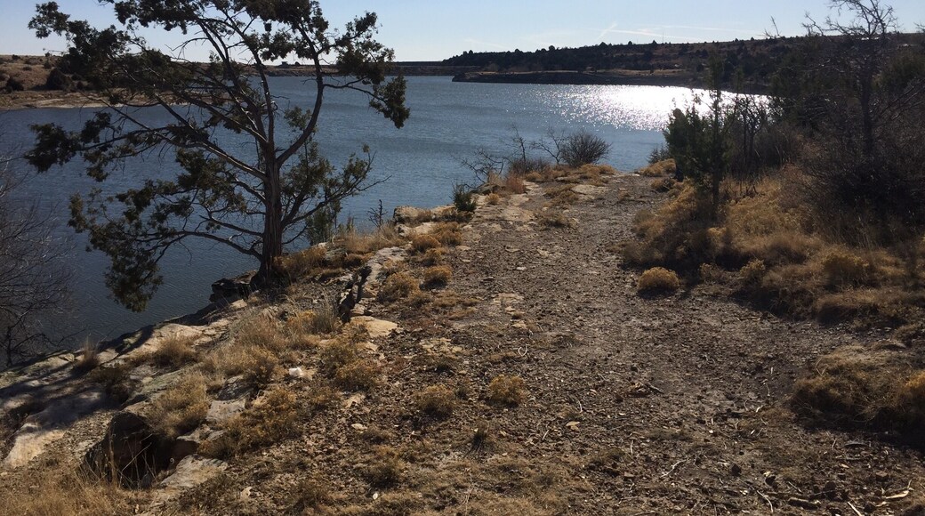 This wind-swept tree has given in to the forces of nature as it stands on the wispy banks of Clayton Lake State Park. This recreation area is quiet and restful, especially in the early spring before crowds come in to fish it.