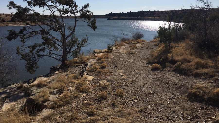 This wind-swept tree has given in to the forces of nature as it stands on the wispy banks of Clayton Lake State Park. This recreation area is quiet and restful, especially in the early spring before crowds come in to fish it.
