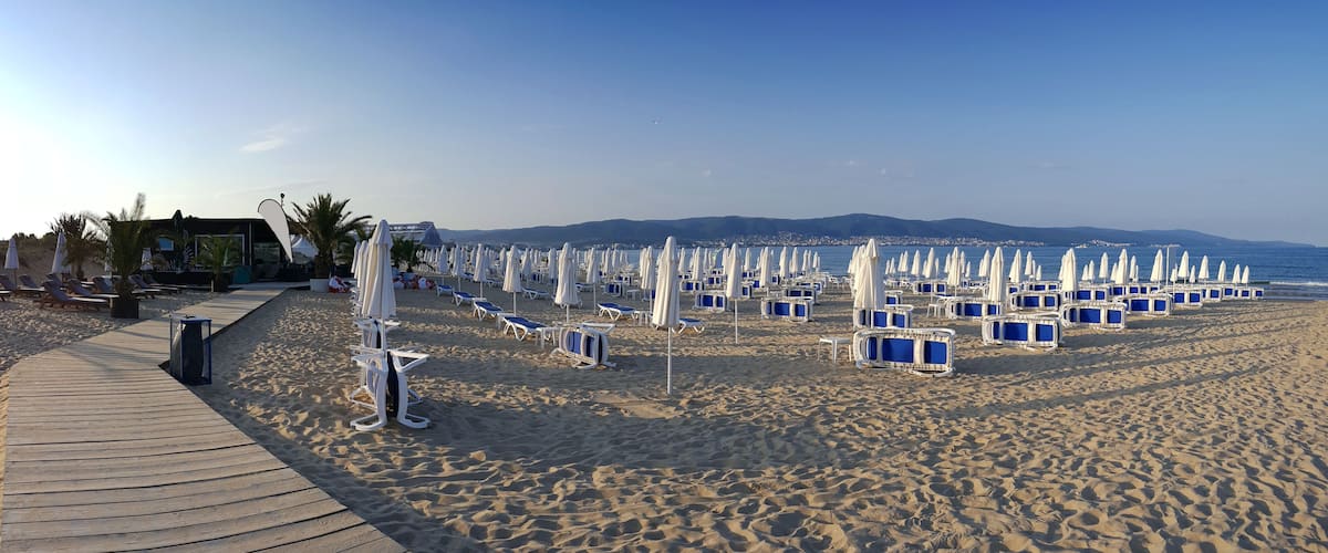 A beach with rows of sun loungers and umbrellas, a wooden boardwalk, and palm trees.