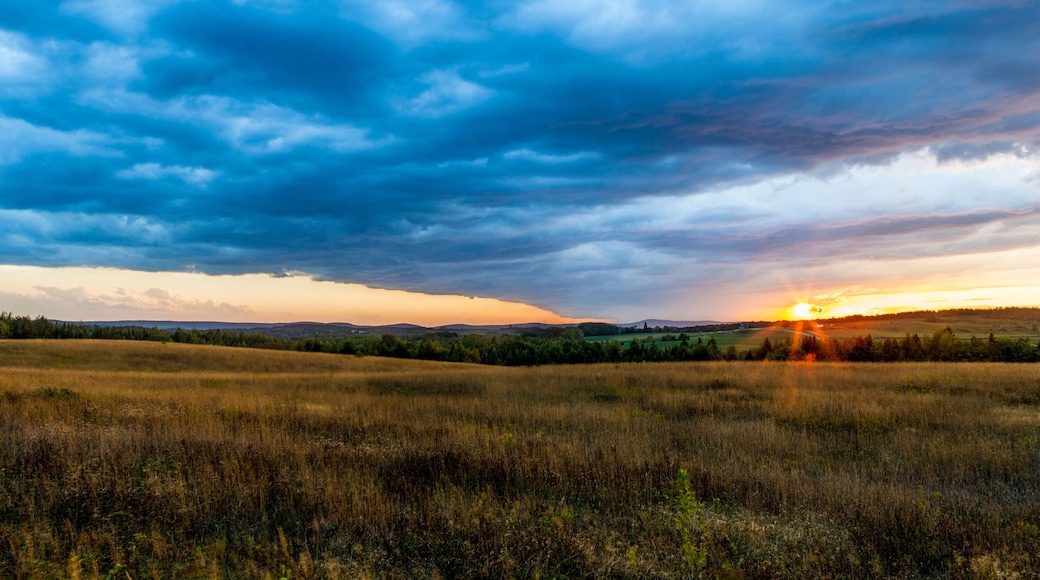 Un coucher de soleil sur un champ herbeux, avec un ciel nuageux.