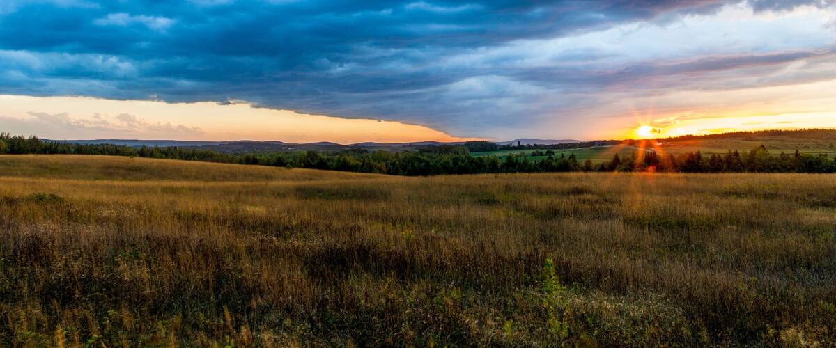 A sunset over a grassy field with a cloudy sky.