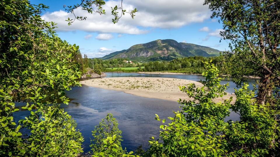 A river surrounded by lush greenery and a mountain in the background.