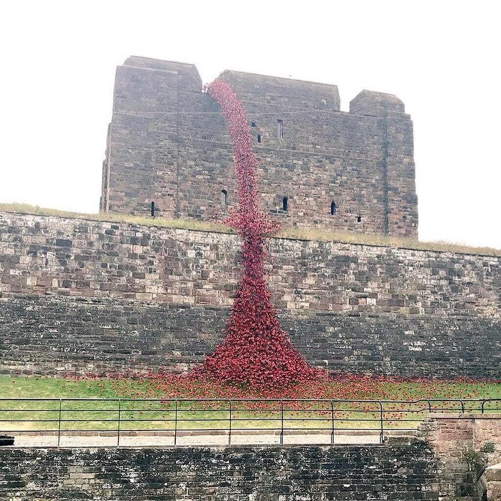 Stunning ‘Weeping Window’ poppies installation at Carlisle Castle. Part of the WW1 commemorations.