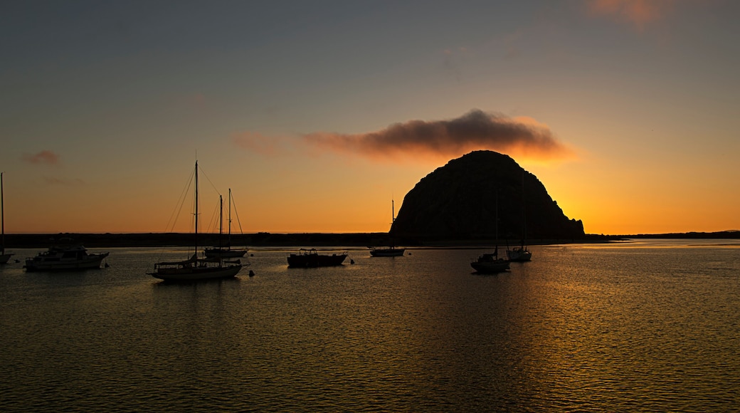 Color Image of multiple Sailboats at Sunset in Morro Bay CA
