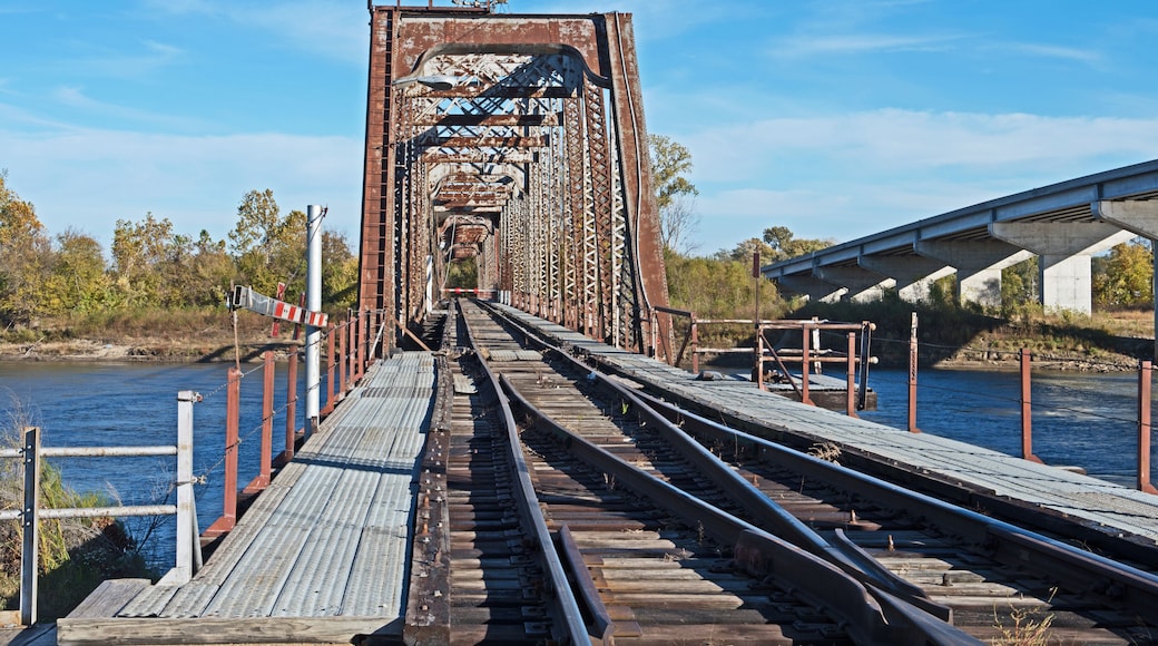 A rusted railway bridge with tracks leading into the distance, surrounded by trees and a body of water.