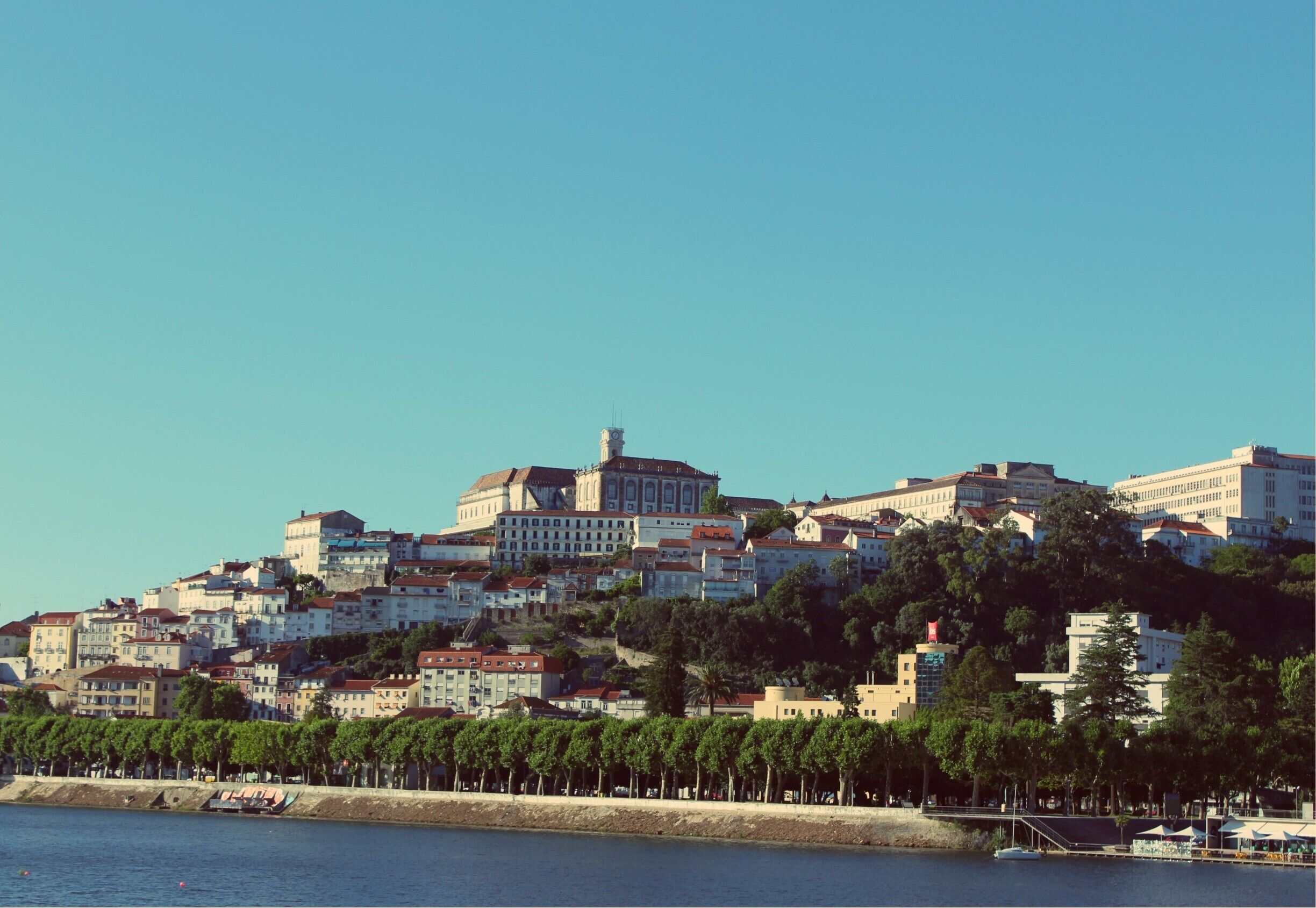 A coastal cityscape with a prominent historic building on a hill, a waterfront with trees, and a clear blue sky.