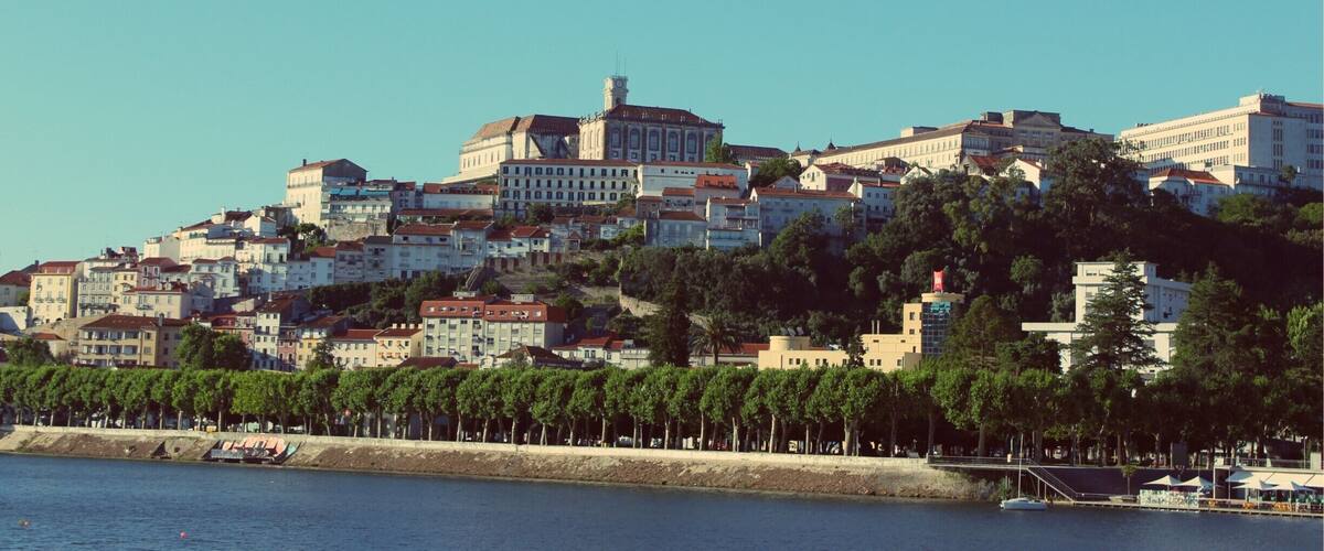 A coastal cityscape with a prominent historic building on a hill, a waterfront with trees, and a clear blue sky.