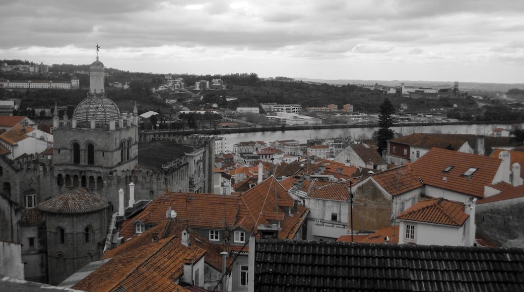 A student town with an unexpectedly beautiful botanical garden.