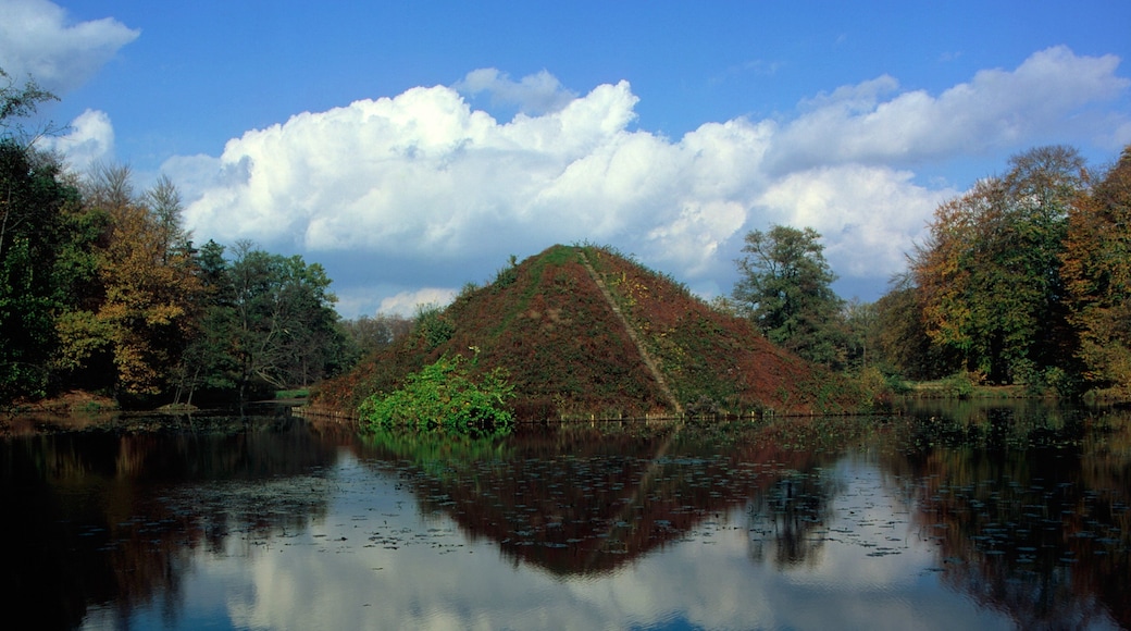 Cottbus featuring forest scenes, landscape views and a lake or waterhole