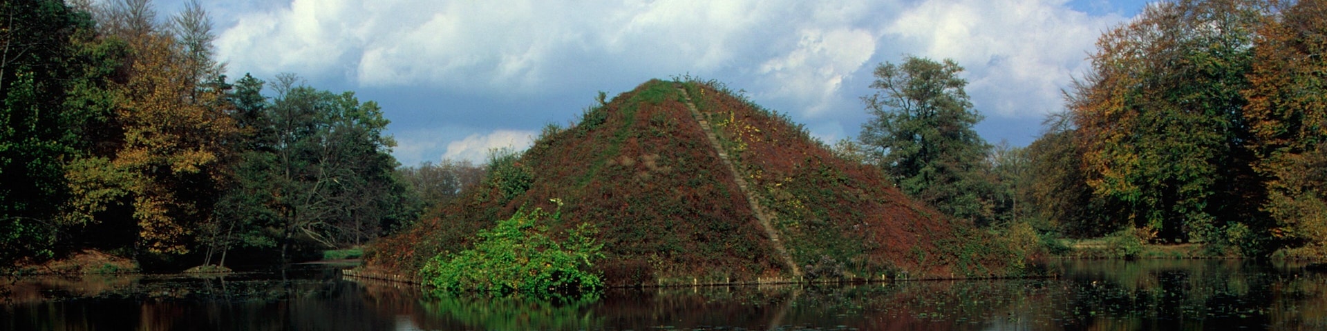 Cottbus featuring forest scenes, landscape views and a lake or waterhole